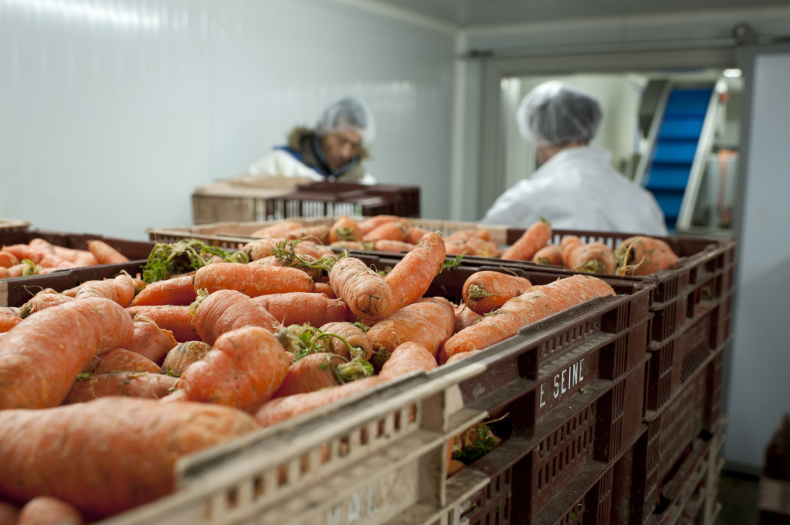 A la légumerie des Mureaux (78)