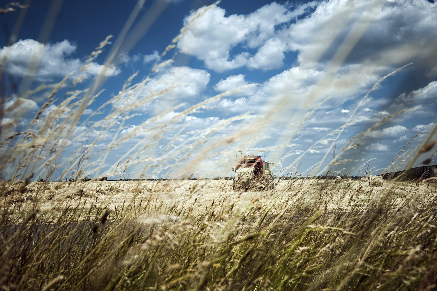 Transformation de la base militaire de Brétigny-sur-Orge en exploitation agricole bio