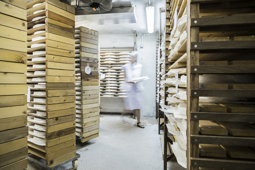 A la fromagerie Ganot, affineur de brie