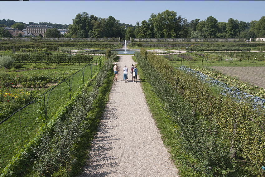 Au Potager du Roi à Versailles