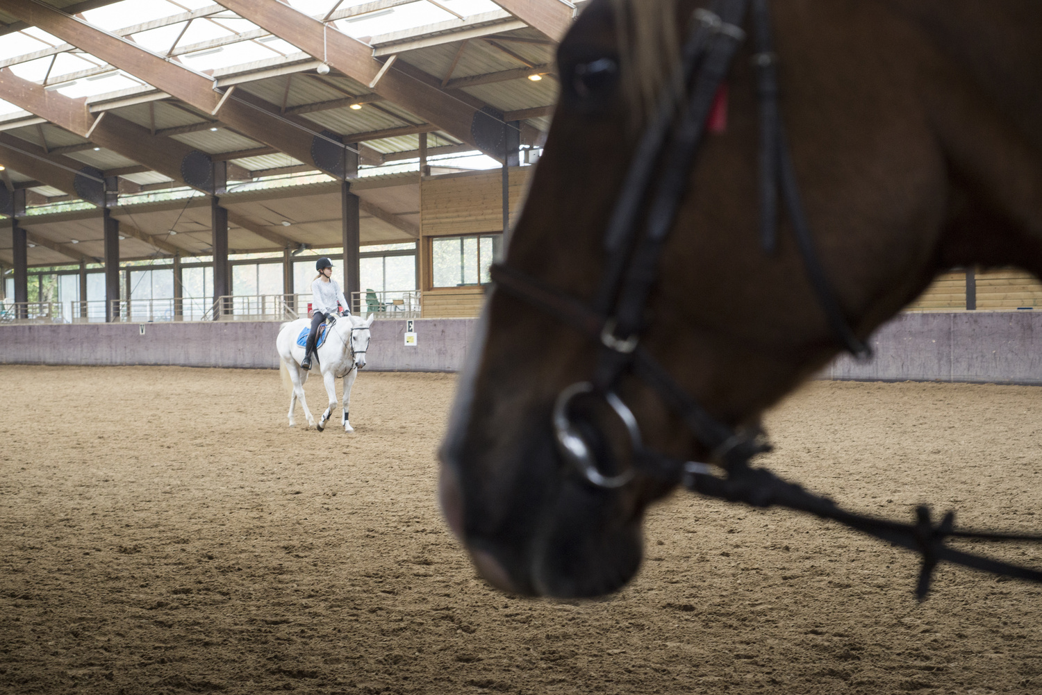 Centre équestre de l'île de loisirs de Jablines-Annet (77)