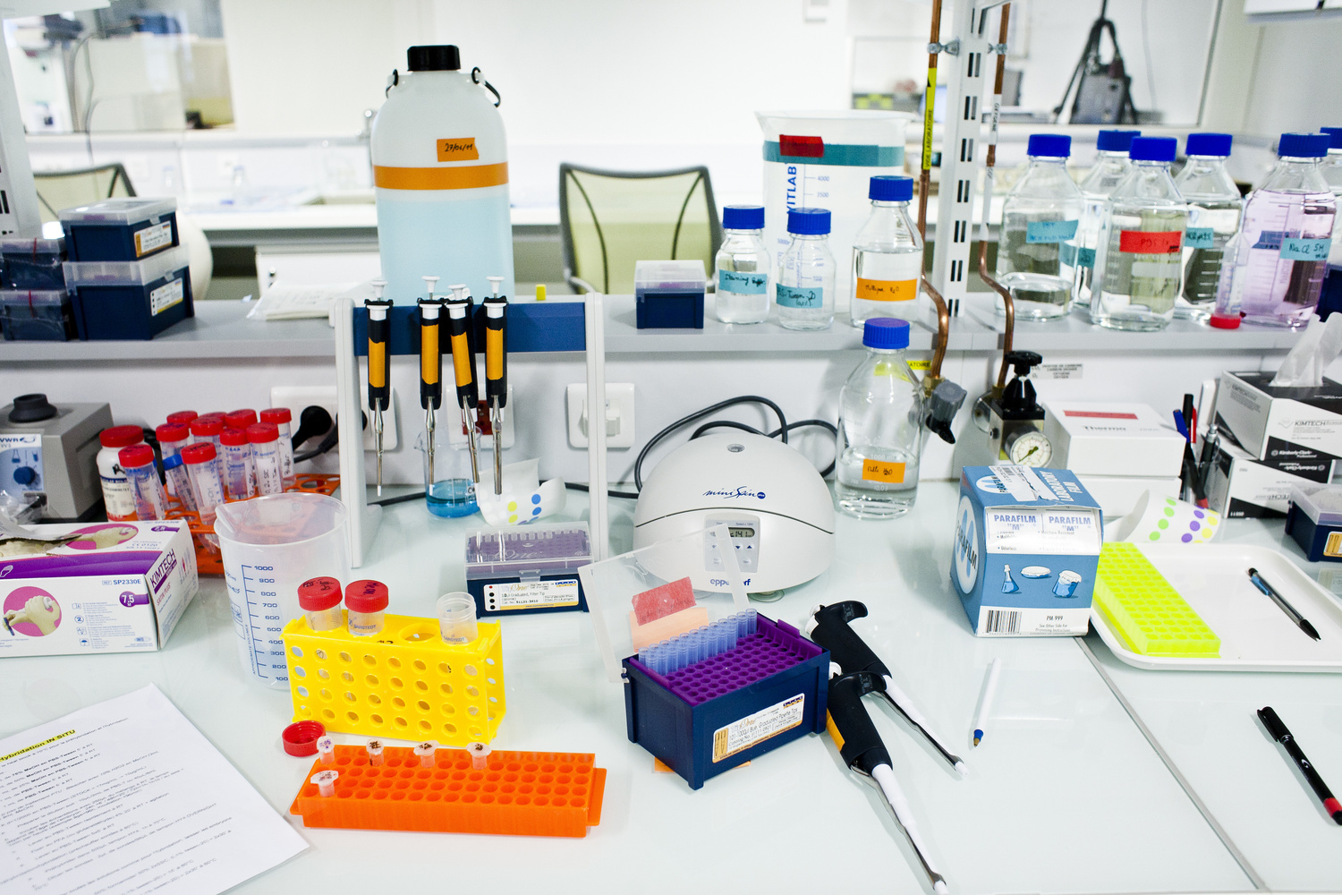 Institut du cerveau et de la moëlle (ICM)